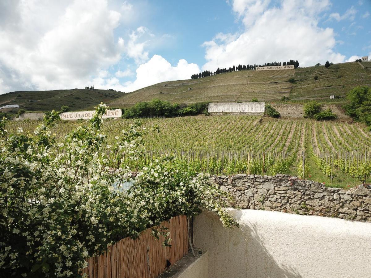 Le Pavillon De L'Hermitage - Spa Ouvert D'Avril A Octobre Tain-l'Hermitage Ngoại thất bức ảnh